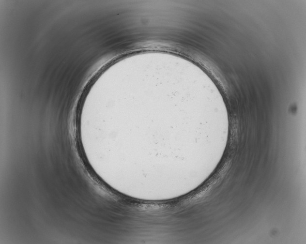 X0000116831082201001151221