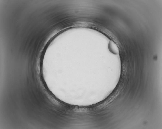 X0000116831083201001151221