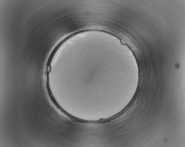 X0000116831084201001151221