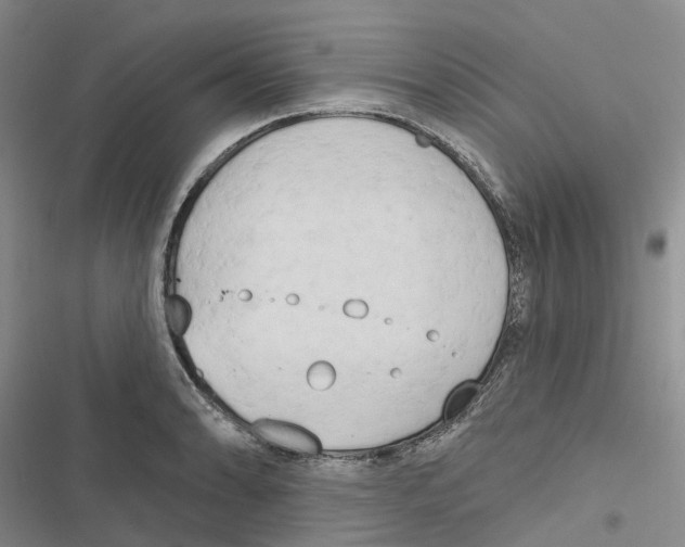 X0000116831086201001151221