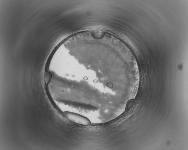 X0000116831087201001151221