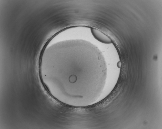 X0000116831088201001151221