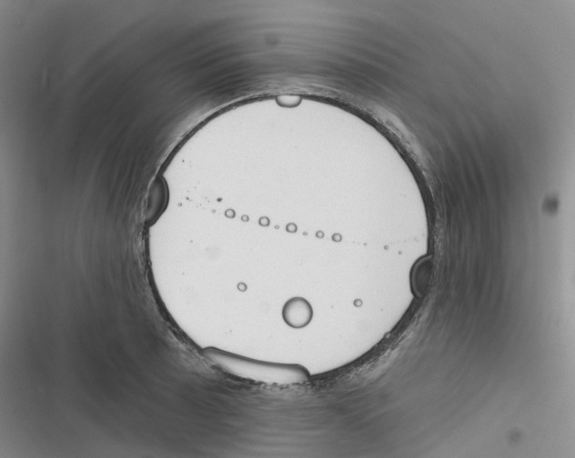 X0000116831089201001151221