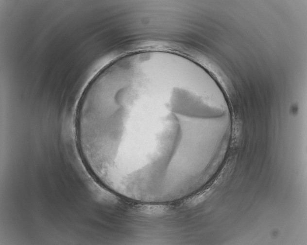 X0000116831090201001151221