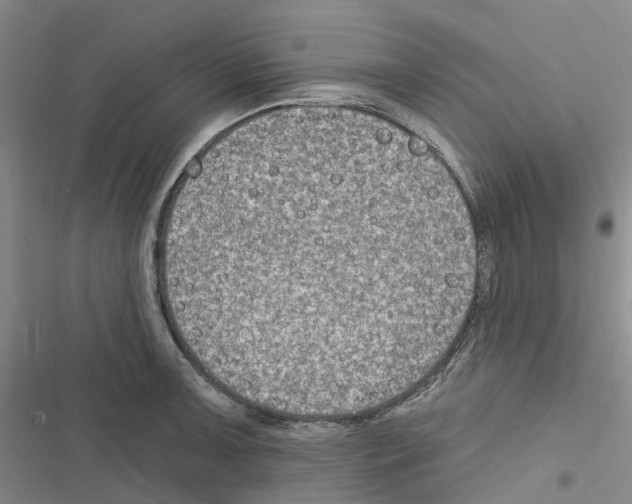 X0000116831091201001151221