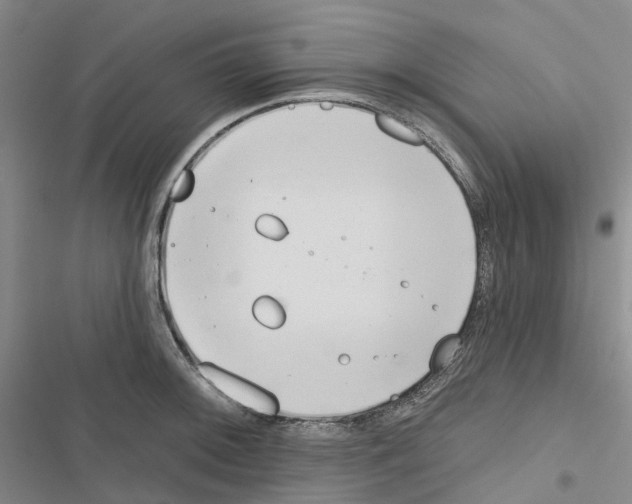 X0000116831092201001151221