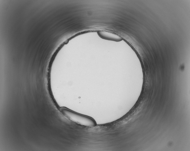 X0000116831093201001151221