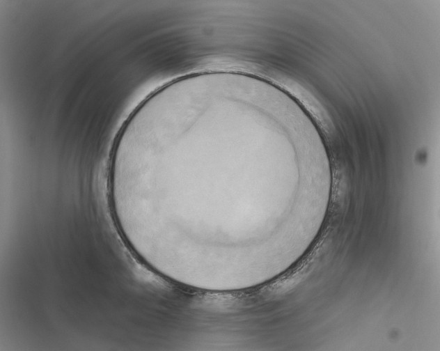 X0000116831094201001151221