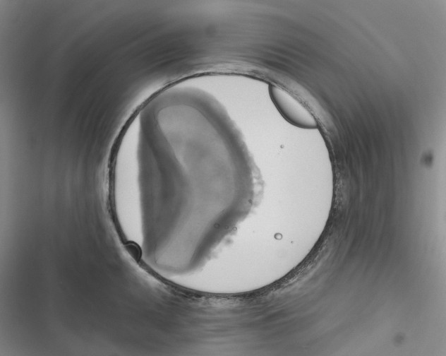 X0000116831095201001151221