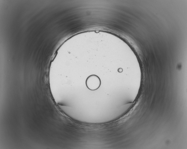 X0000116831097201001151221