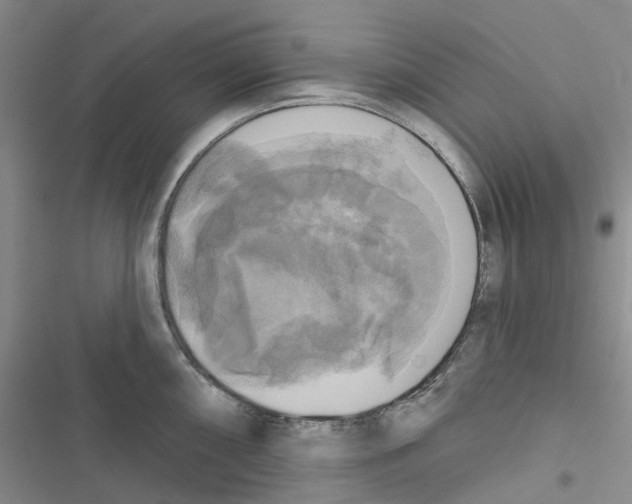 X0000116831098201001151221