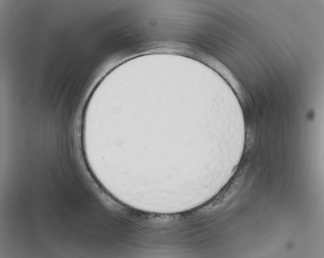 X0000116831099201001151221