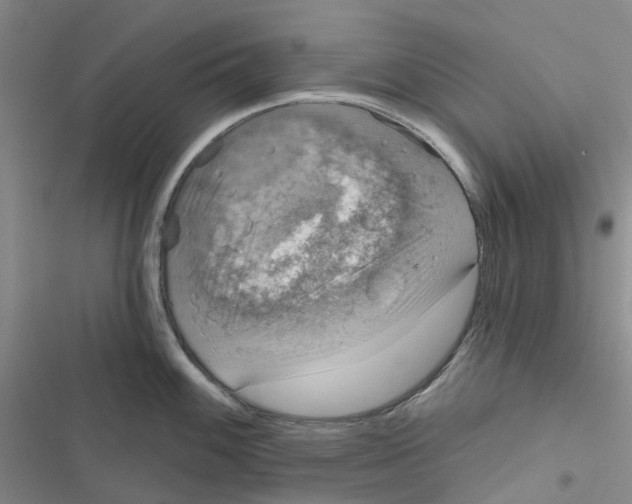 X0000116831100201001151221