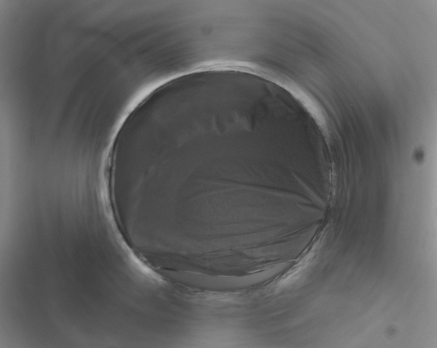 X0000116831102201001151221