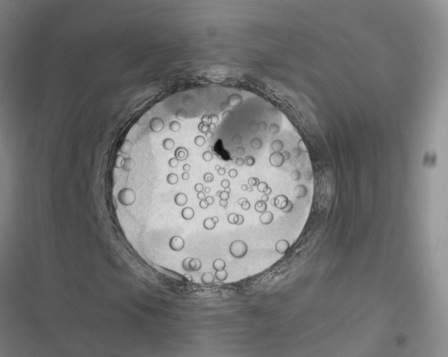 X0000116831105201001151220