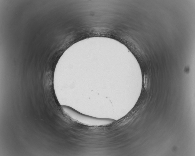 X0000116831107201001151220