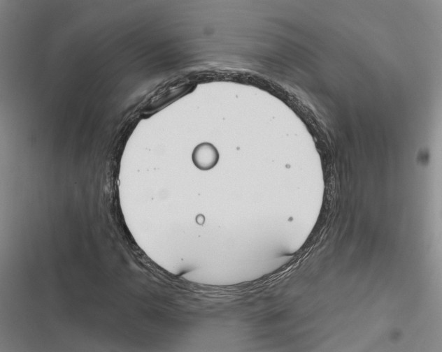 X0000116831110201001151220