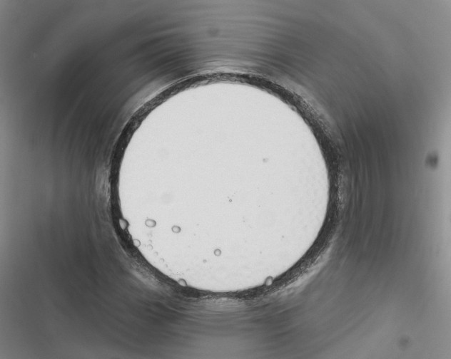 X0000116831113201001151220