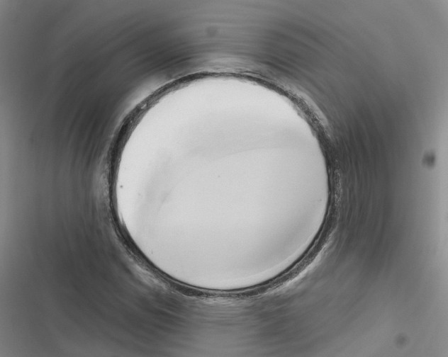 X0000116831114201001151220