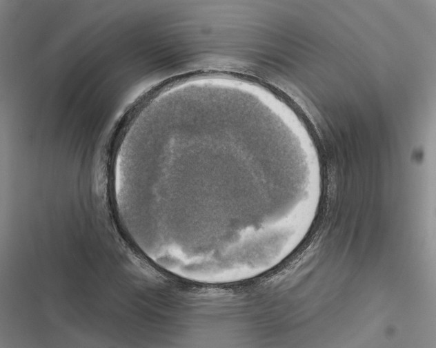 X0000116831115201001151220