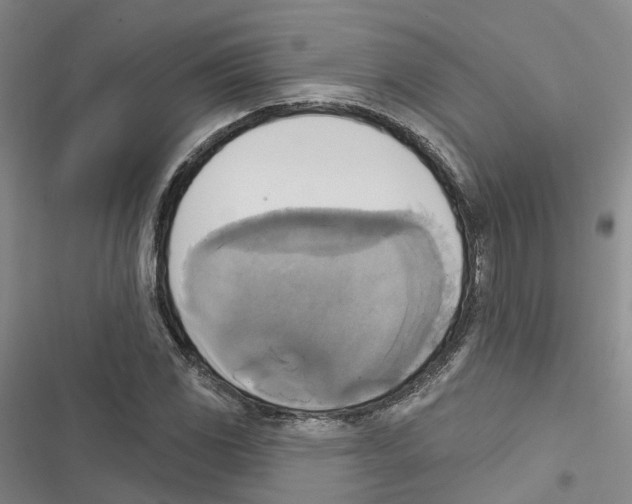 X0000116831117201001151220