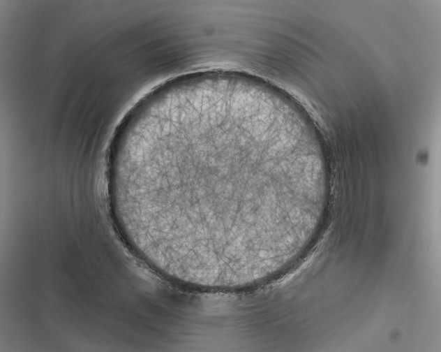 X0000116831118201001151220