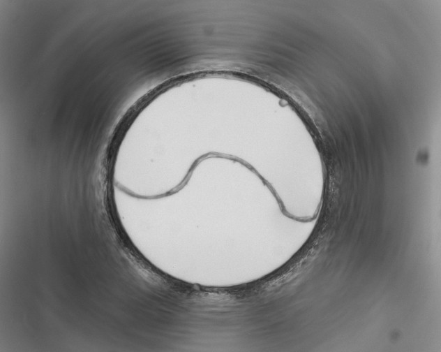 X0000116831119201001151220