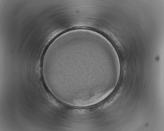 X0000116831121201001151220