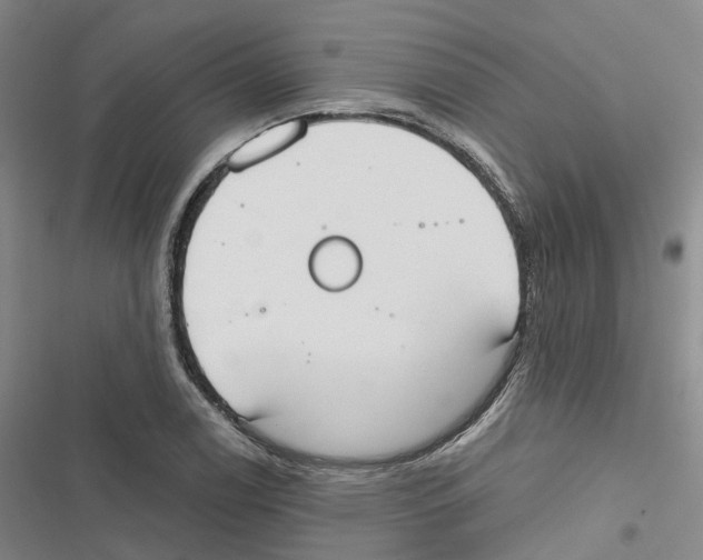 X0000116831122201001151220