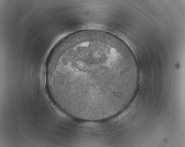 X0000116831123201001151220