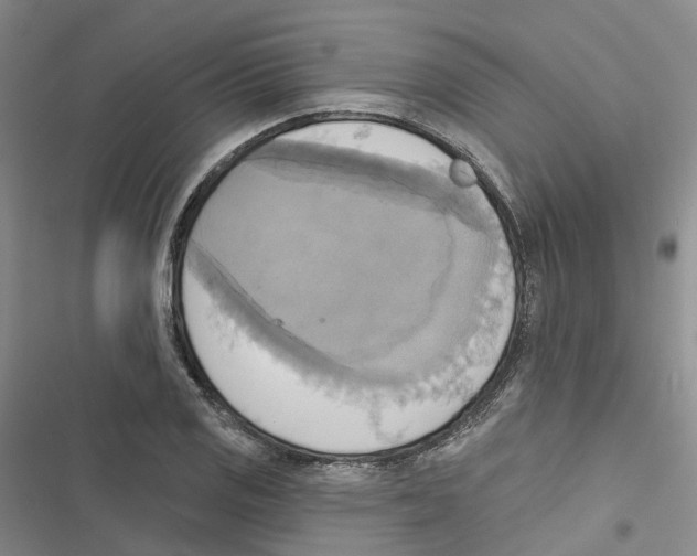 X0000116831125201001151220