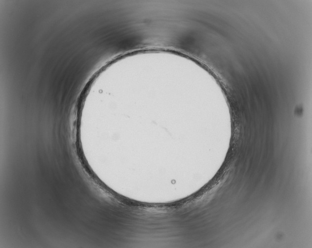 X0000116831126201001151220