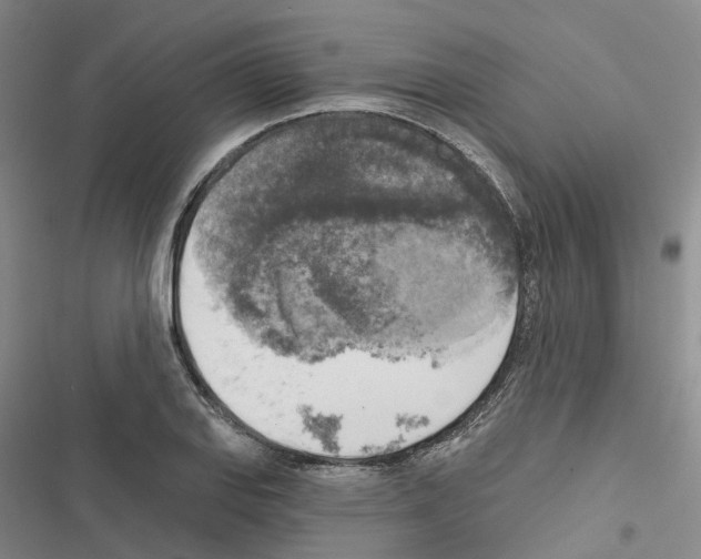 X0000116831127201001151220