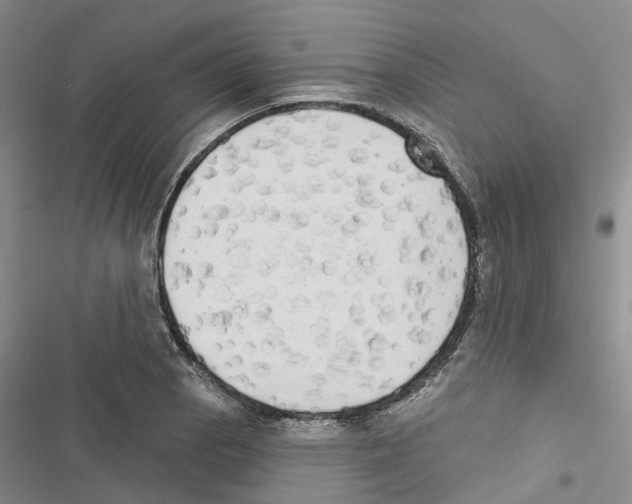 X0000116831129201001151221