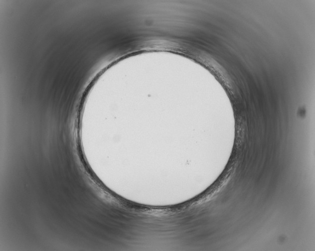 X0000116831130201001151221