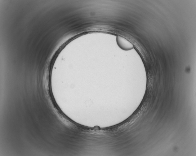 X0000116831131201001151221