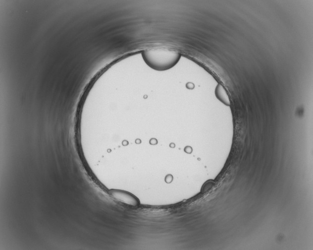 X0000116831135201001151221