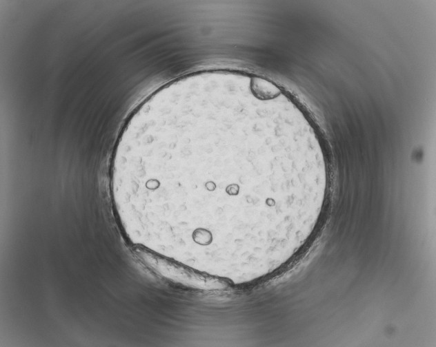 X0000116831137201001151221