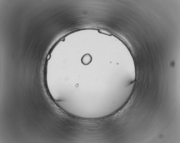 X0000116831138201001151221