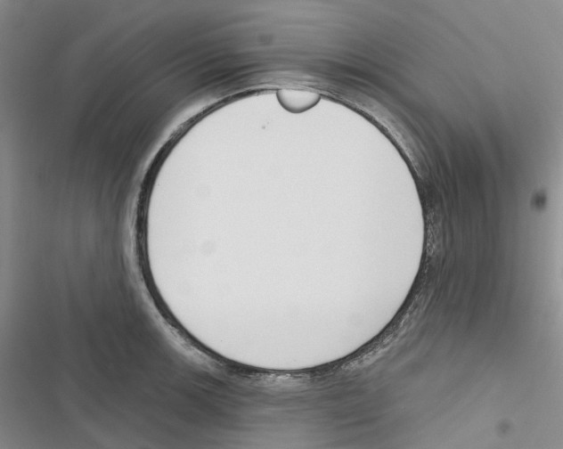 X0000116831139201001151221