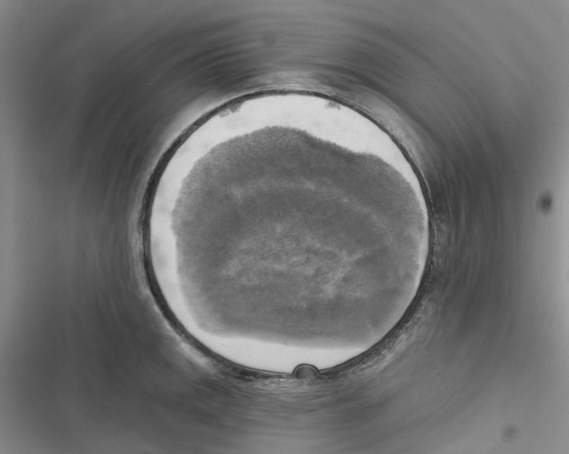 X0000116831141201001151221