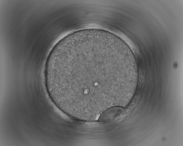 X0000116831142201001151221