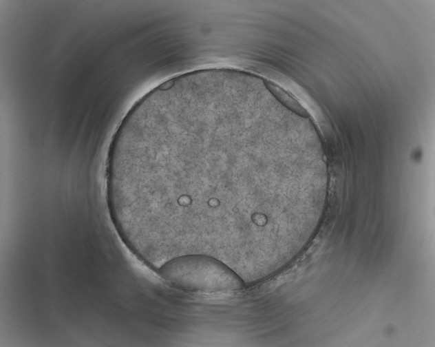 X0000116831143201001151221