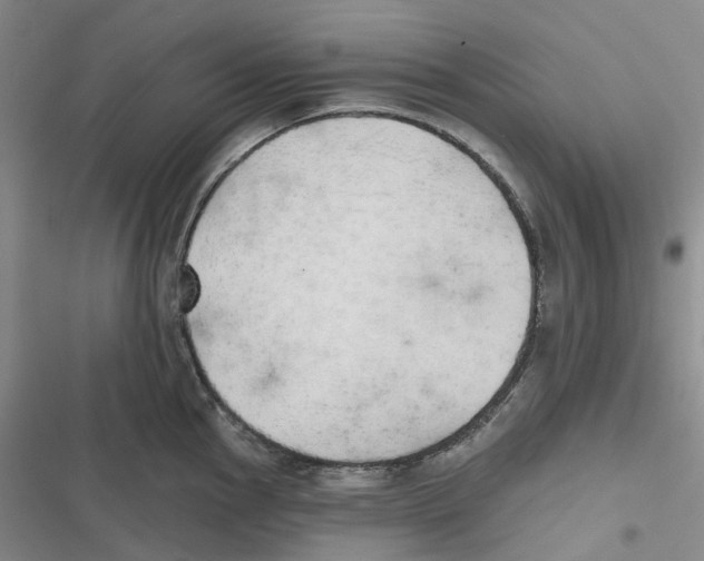 X0000116831145201001151221