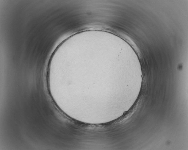 X0000116831146201001151221