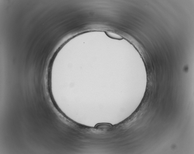 X0000116831147201001151221