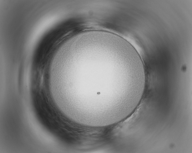 X0000116831150201001151221