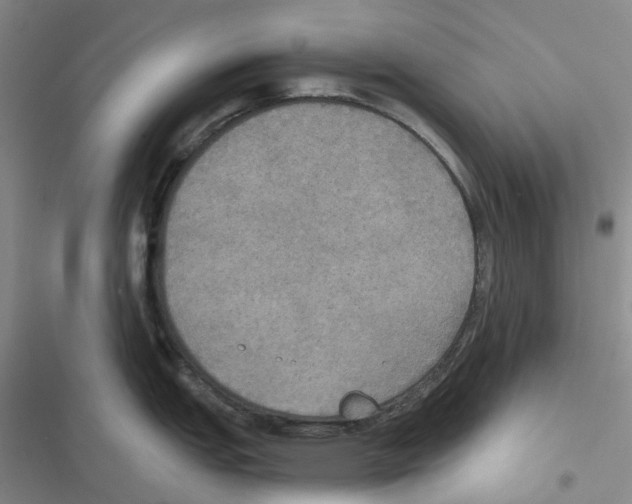 X0000116831151201001151221