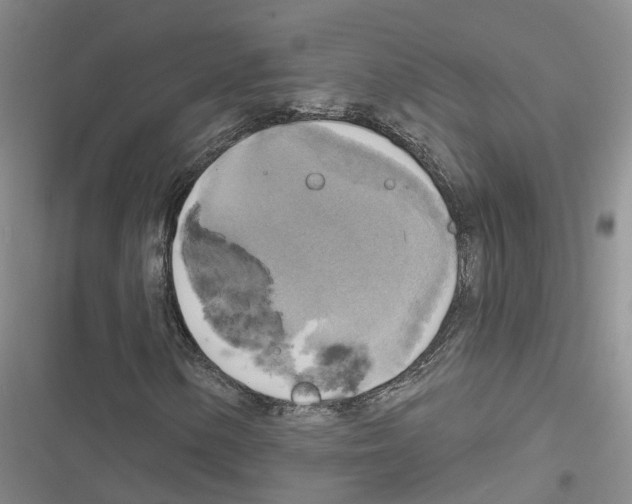 X0000116831154201001151220