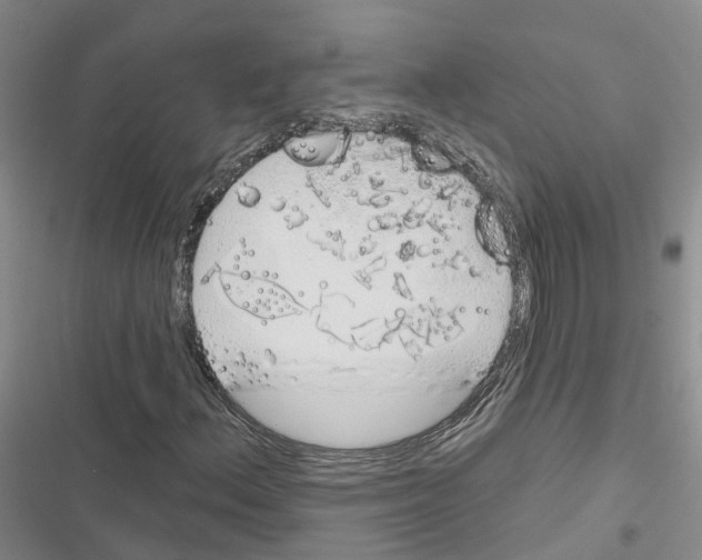 X0000116831156201001151220